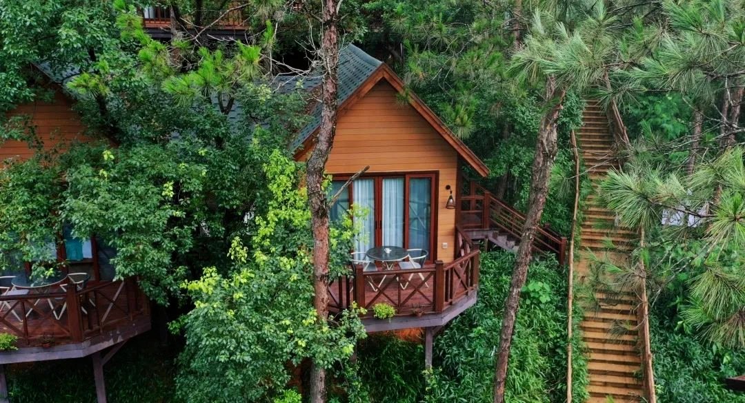 Forest cabin balcony