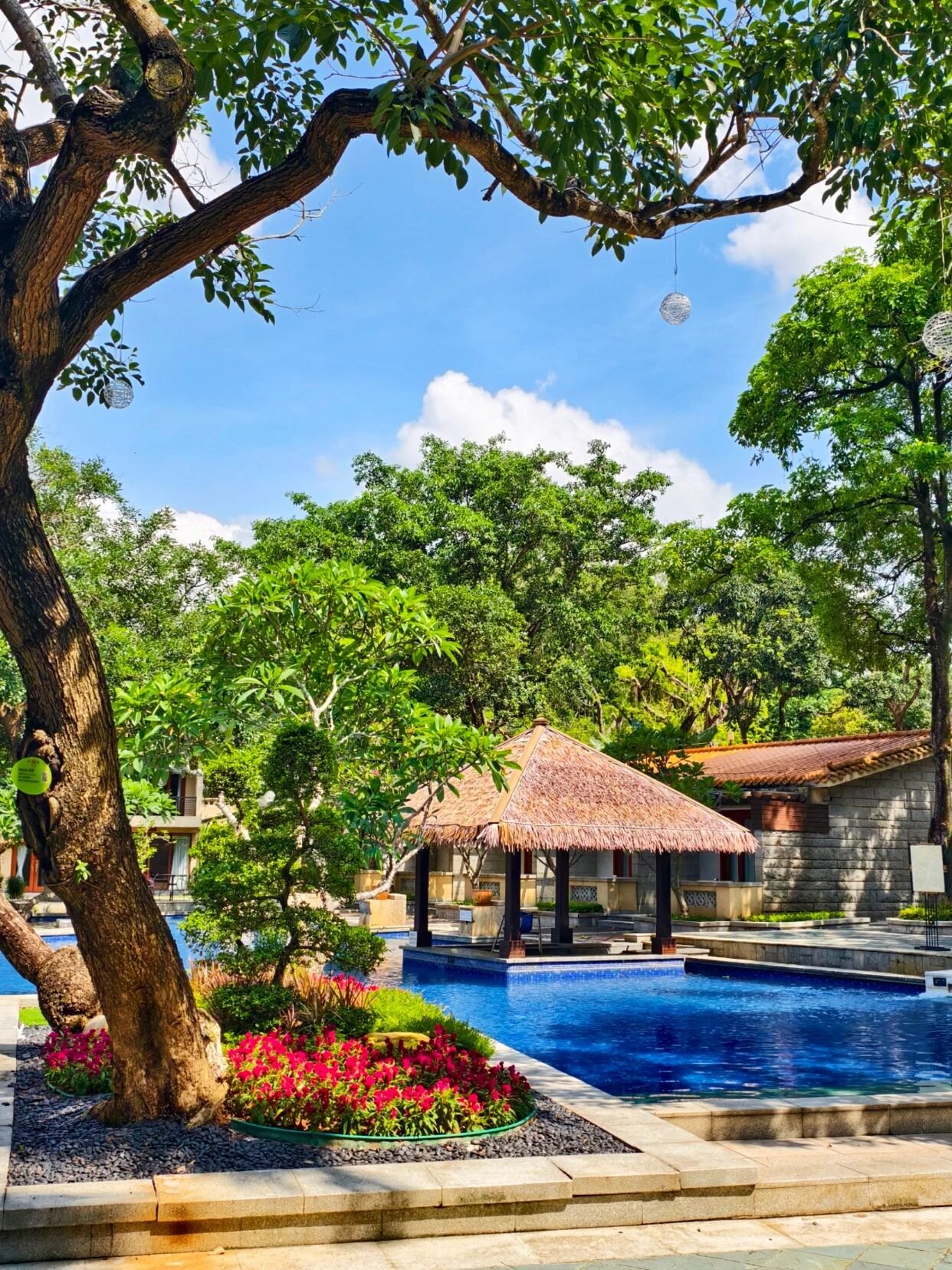 Poolside landscaping