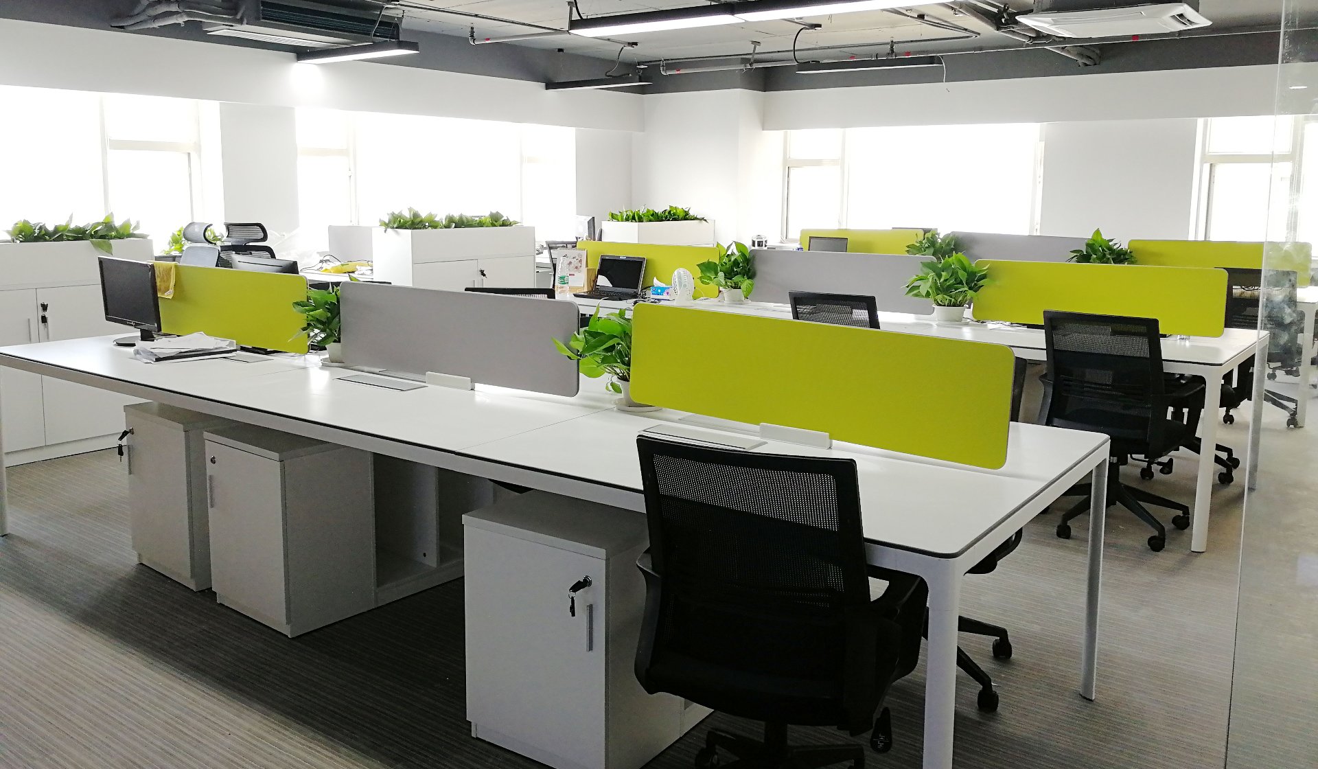 GEMSTAR open office with green-screen workstations