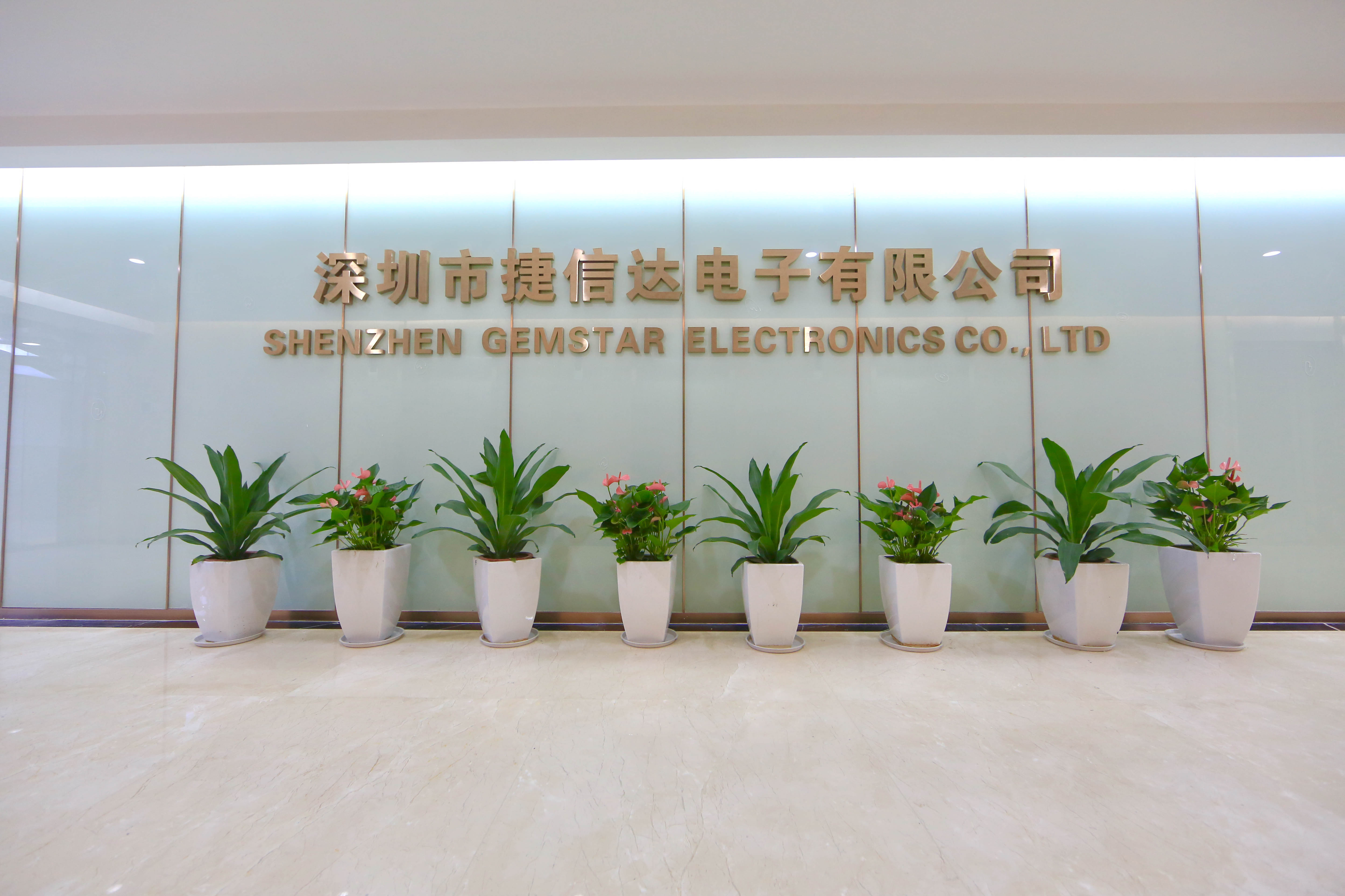 GEMSTAR reception wall with company name